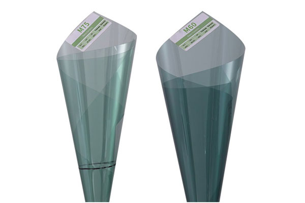 Exterior Window Film